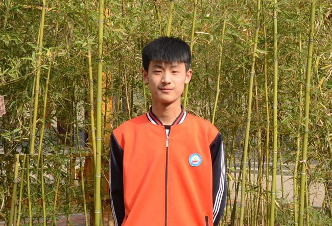 2017���м�������ѧ���ɲ���������