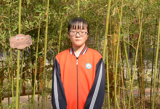 2017���м�������ѧ���ɲ���֣����